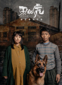 街霸对决故事背景：揭开角色的神秘面纱